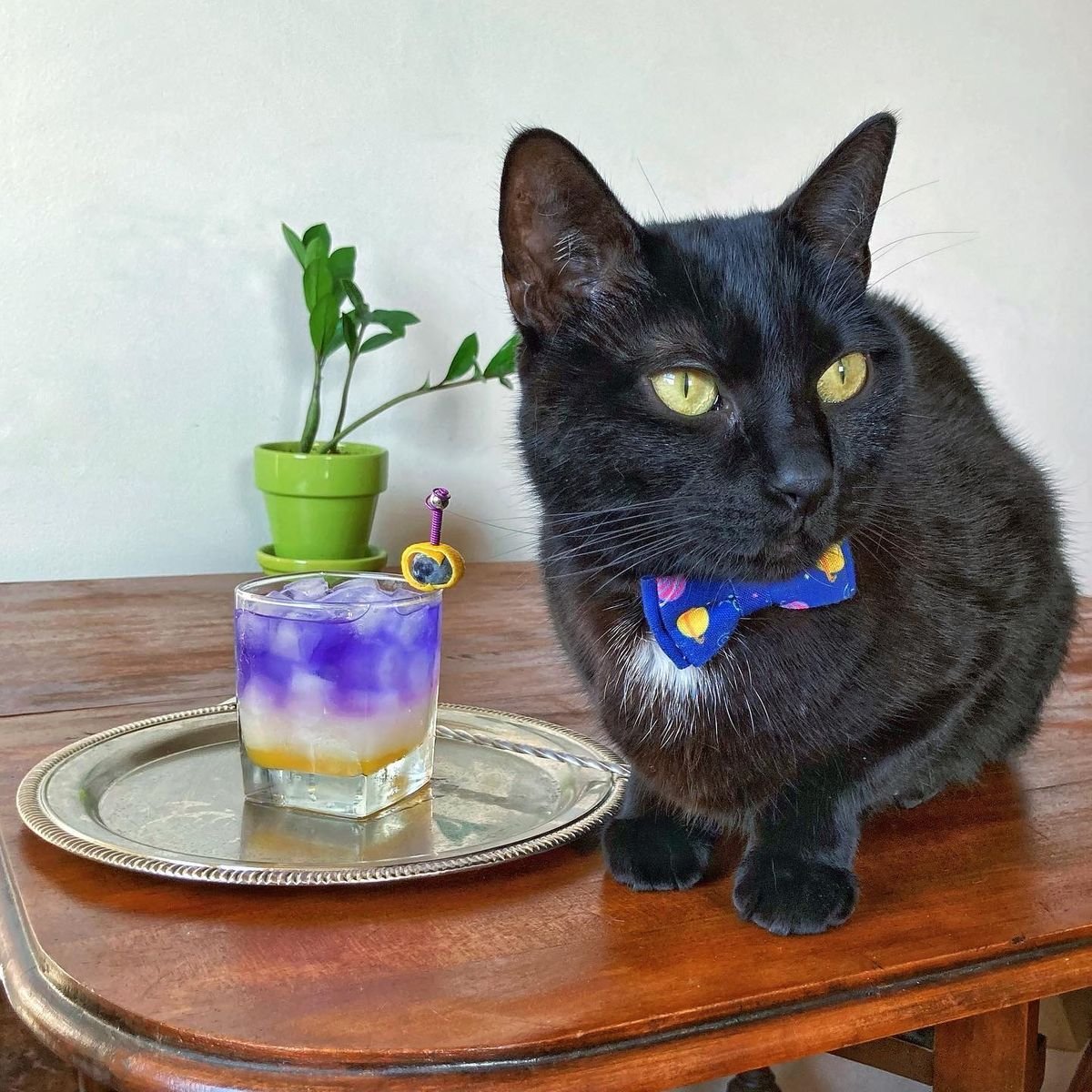    Cats are from Saturn by Katherine on Crafted Pour   