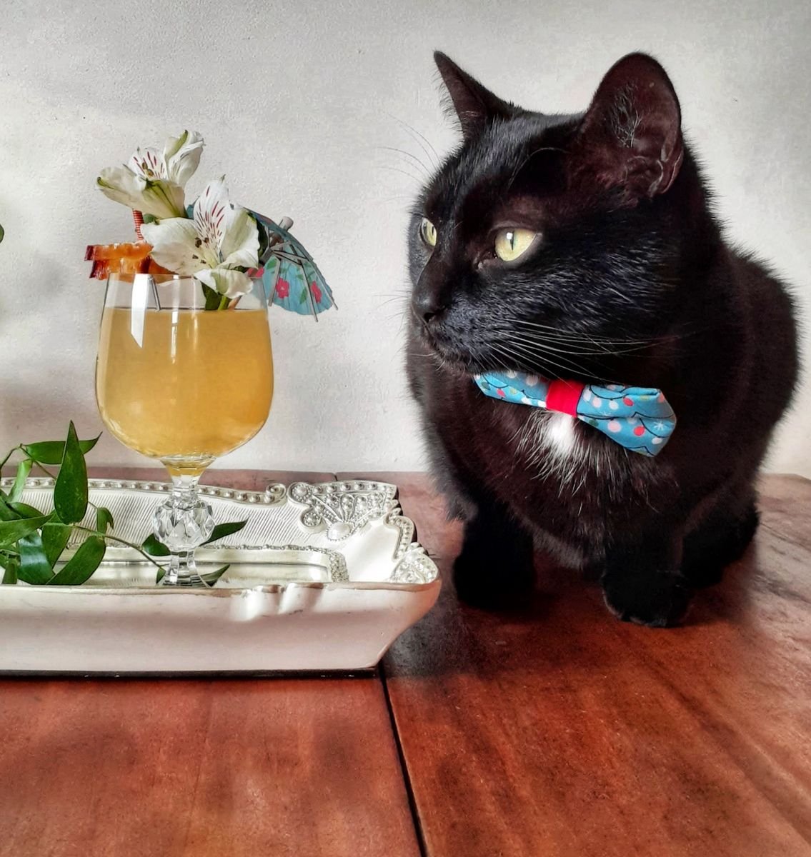    Photo via Katherine's Crafted Pour profile.   